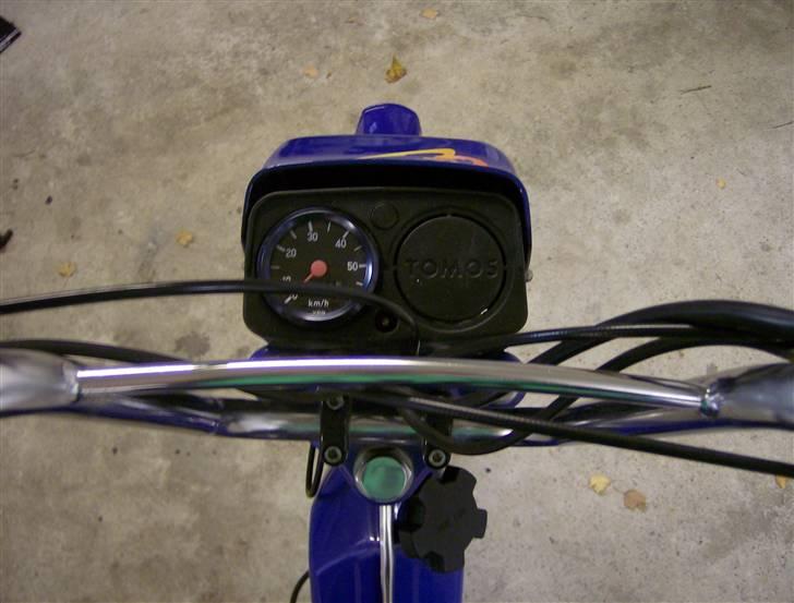 Tomos Quardo [Solgt] billede 3