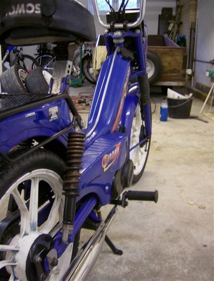 Tomos Quardo [Solgt] billede 7