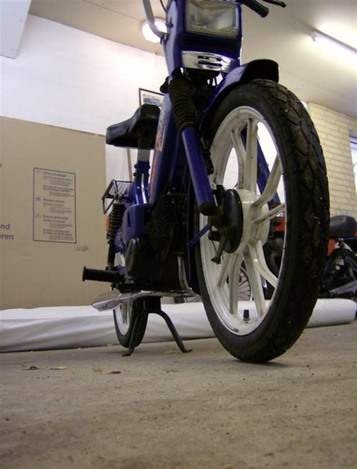 Tomos Quardo [Solgt] billede 9