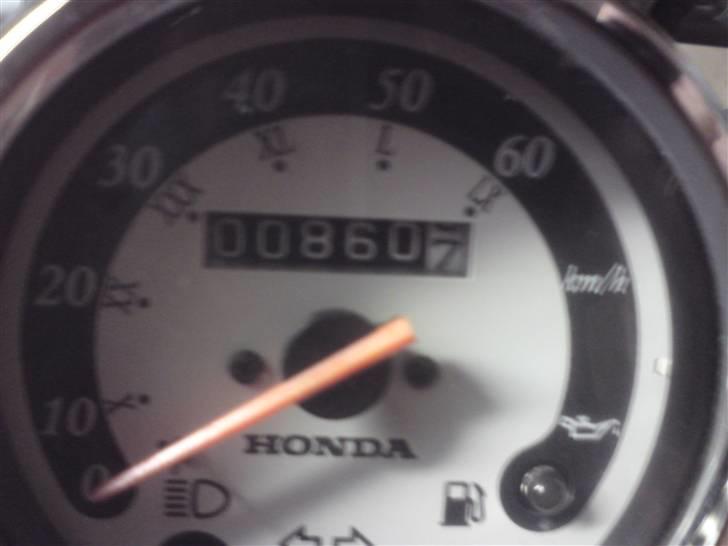 Honda Sky Classic billede 4