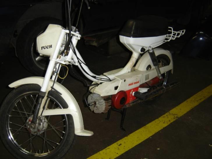 Puch mini maxi  billede 1