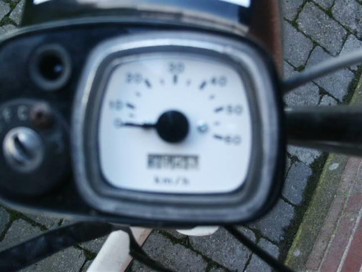 Suzuki FZ50 $SOLGT$ billede 7