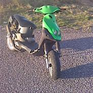 PGO PMX