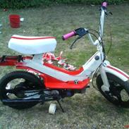 Piaggio Grillo