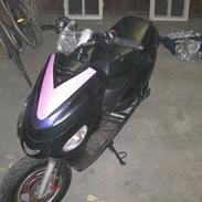 Giantco Tms Classic 50