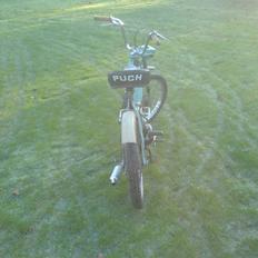 Puch Maxi K Projekt 2010
