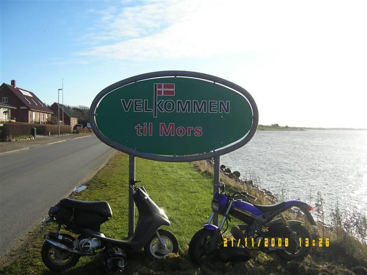 Suzuki street magic "SOLGT" - Gertrud og Charlotte :P de er søde sammen<3 ikk driz :P? billede 2