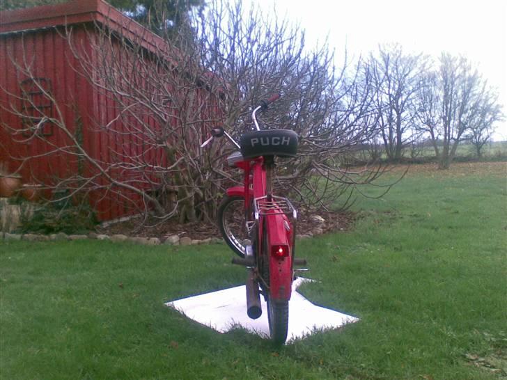 Puch maxi p/k (solgt) billede 4