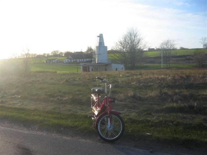 Puch Maxi k  Til salg billede 6