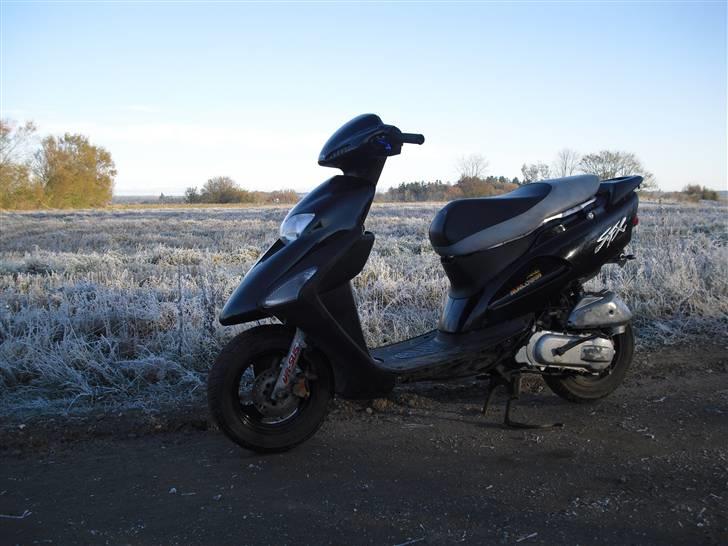 Honda SFX TIL SALG billede 11