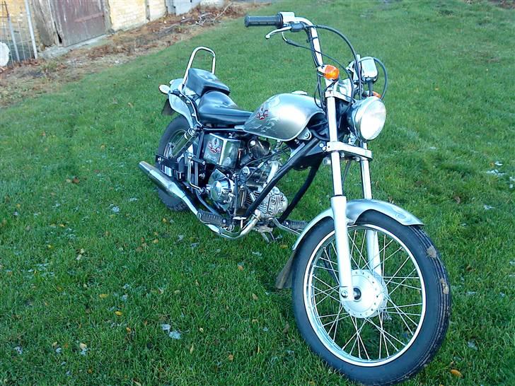 Regal Raptor Tilsalg billede 1