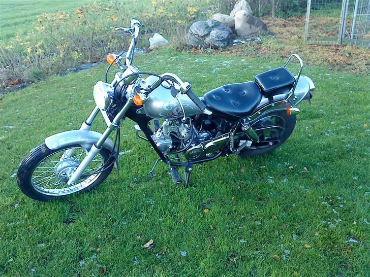 Regal Raptor Tilsalg billede 2