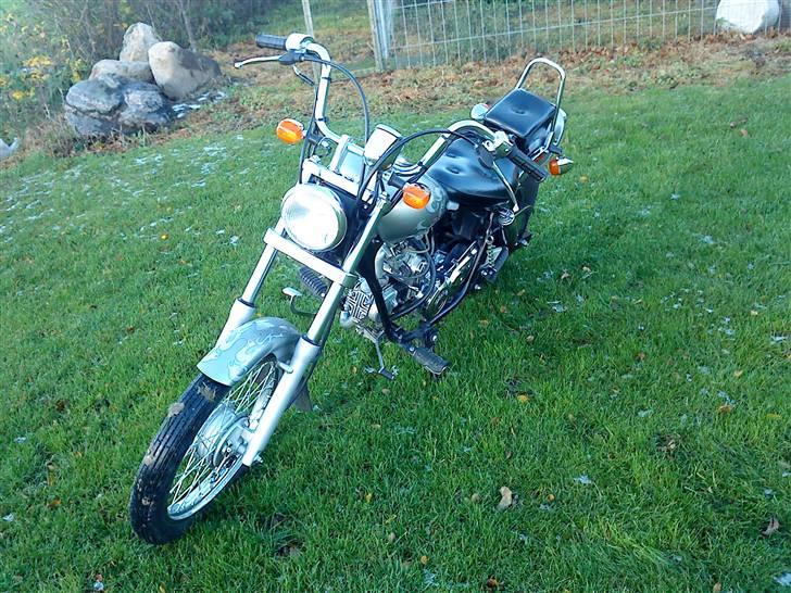 Regal Raptor Tilsalg billede 3