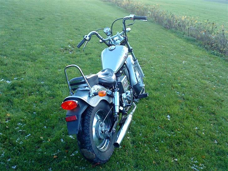 Regal Raptor Tilsalg billede 4