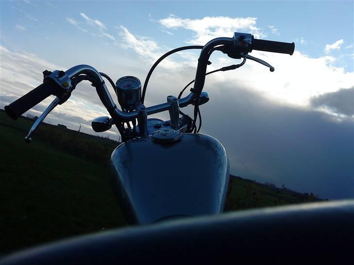 Regal Raptor Tilsalg billede 5