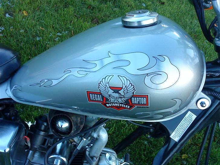 Regal Raptor Tilsalg billede 6