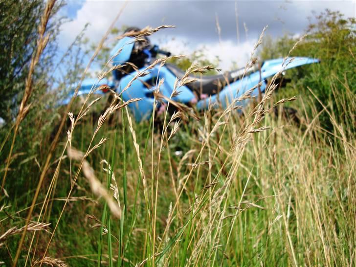 Suzuki RMX Solgt billede 4