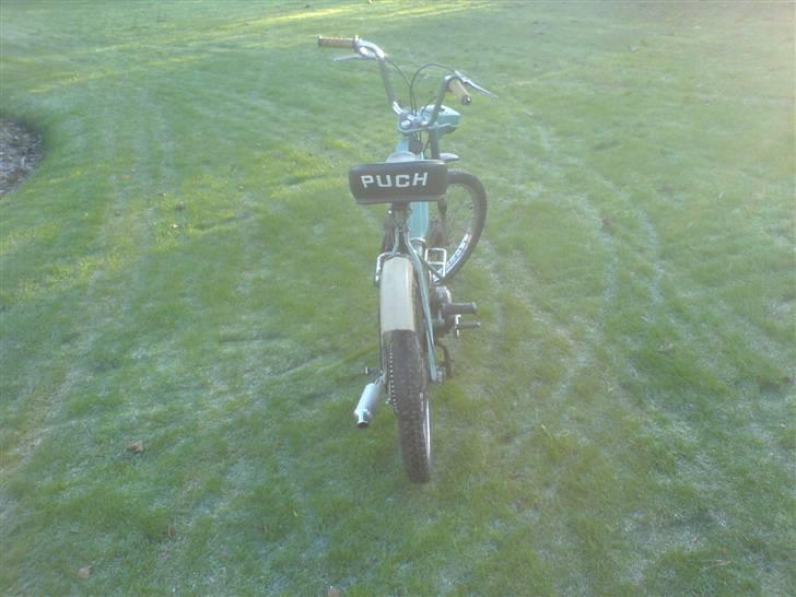Puch Maxi K Projekt 2010 billede 2