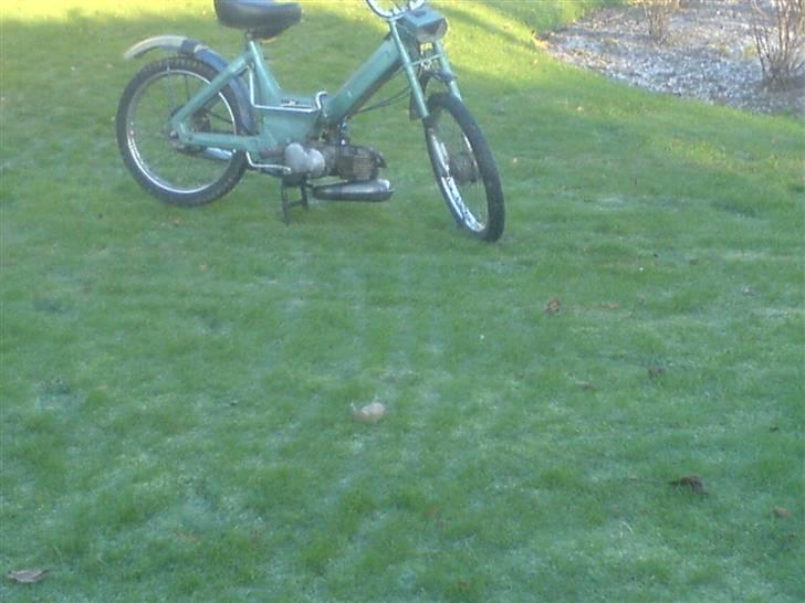 Puch Maxi K Projekt 2010 billede 5