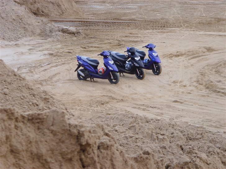 Honda Sfx SOLGT - De artige små børn...  billede 12