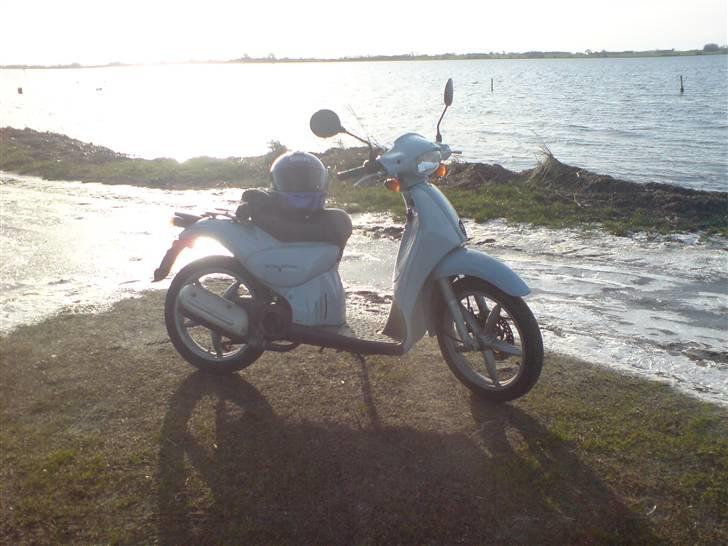 Aprilia scarabeo (solgt) billede 1