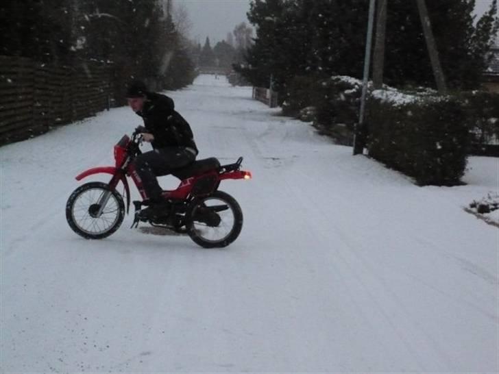 Yamaha Sting SG50 - Jaja, den kan sku godt trække baghjulet rundt :) billede 14