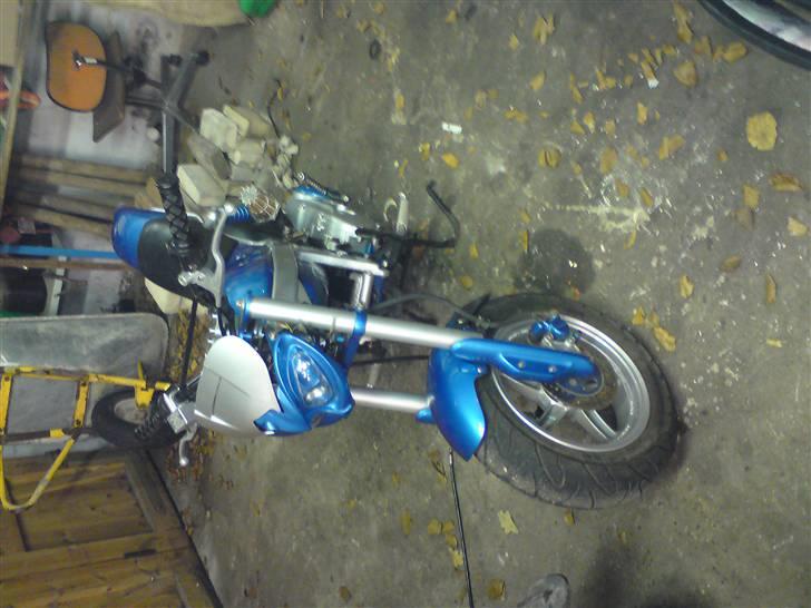 Suzuki Street magic nakket billede 9