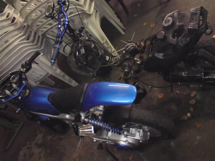 Suzuki Street magic nakket billede 13