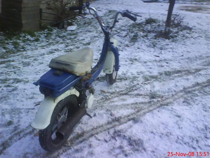Suzuki FZ50 "Susanne" (TILSALG) billede 11