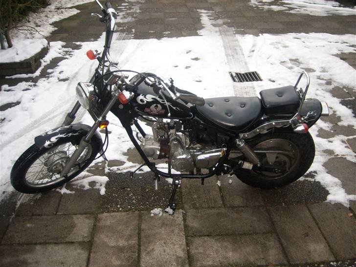 Regal DDQE 3 Raptor ( SOLGT ) billede 1