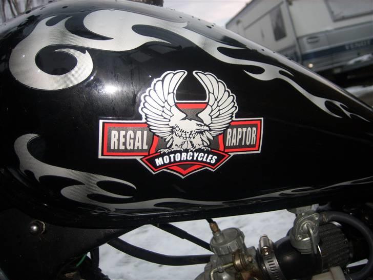 Regal DDQE 3 Raptor ( SOLGT ) billede 8