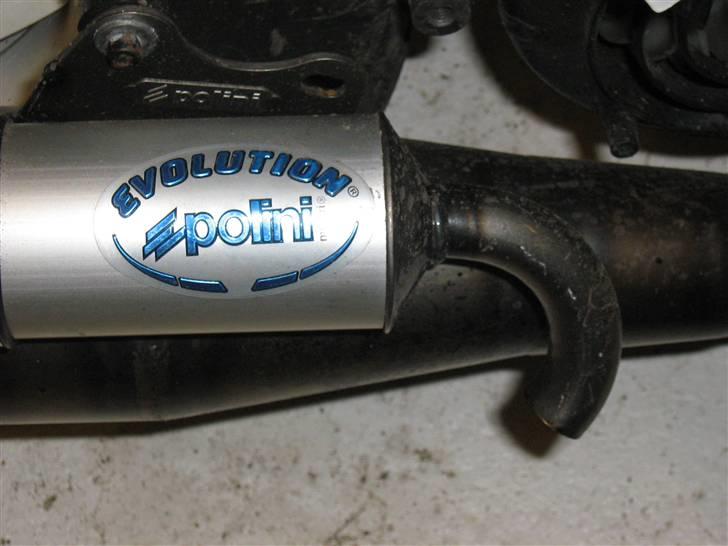 PGO hot 50 Evolution solgt billede 2