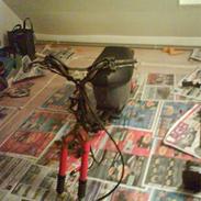 Honda Wallaroo GADE | SOLGT 