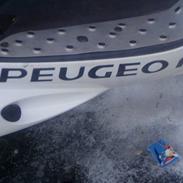 Peugeot speedfight 2... byttet