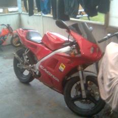Cagiva mito (solgt)
