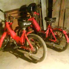 Puch maxi k 