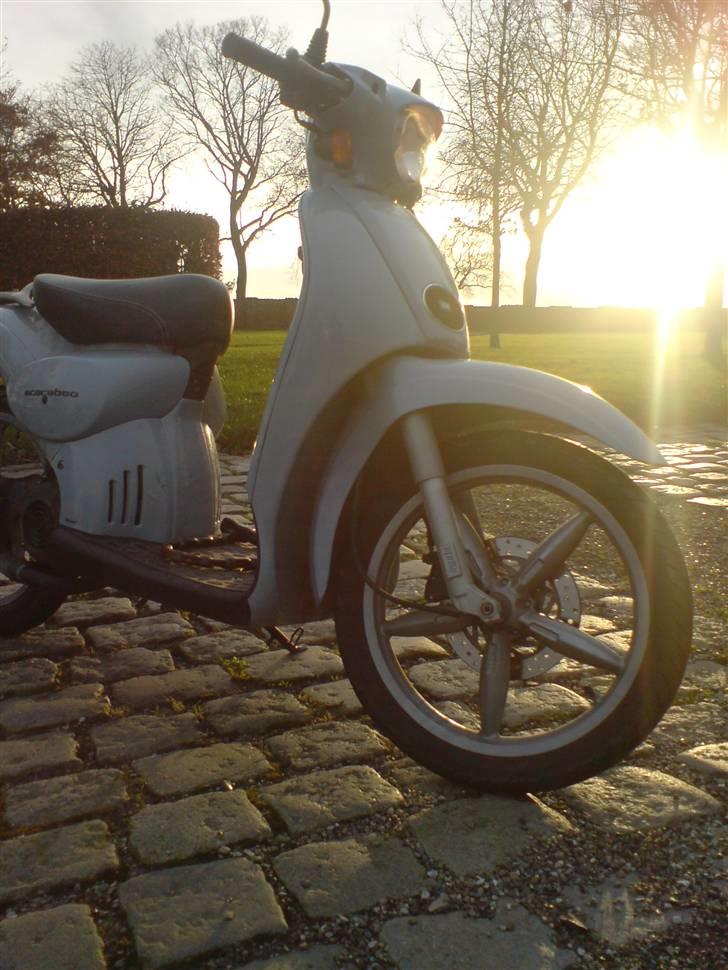 Aprilia scarabeo (solgt) billede 8