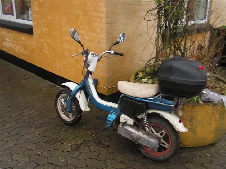 Suzuki Fz 50 BERTA <3  SOLGT billede 2