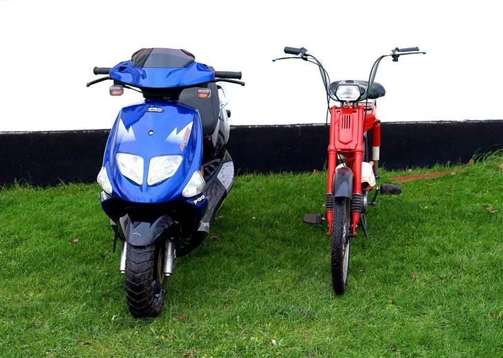 Honda Amigo - Amigo´en og Biggen! :D billede 5