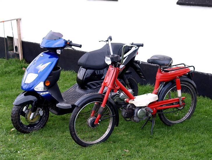 Honda Amigo - Amigo´en og Biggen! :D billede 6