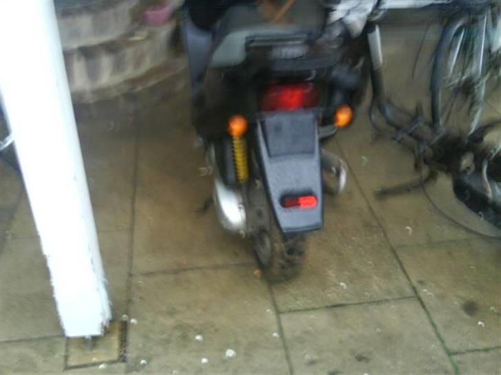 Derbi hunter byttet til Regal  billede 5