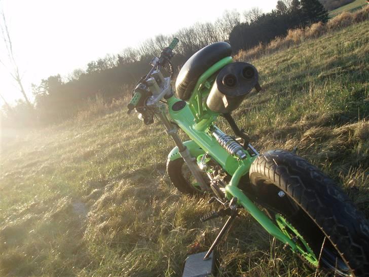 Sachs Madass  billede 2