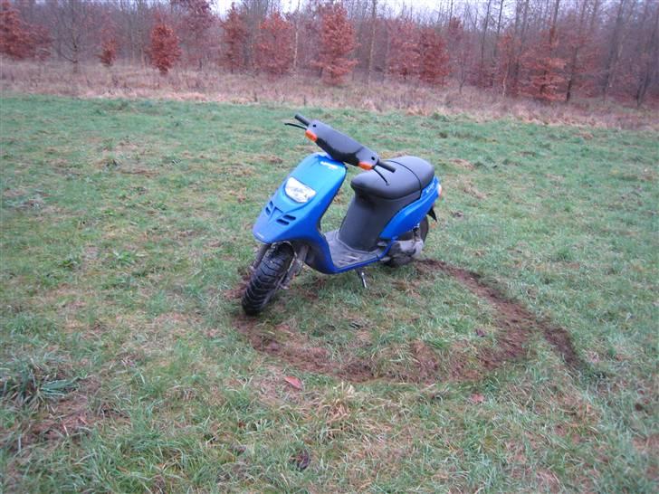 Piaggio Typhoon Solgt,  billede 2