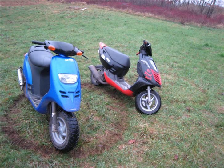 Piaggio Typhoon Solgt,  billede 9