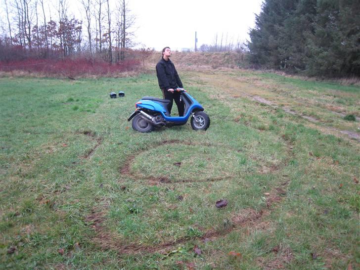 Piaggio Typhoon Solgt,  billede 11