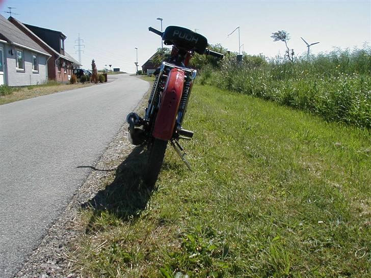 Puch maxi ¤POLINI¤ //byttet// billede 11