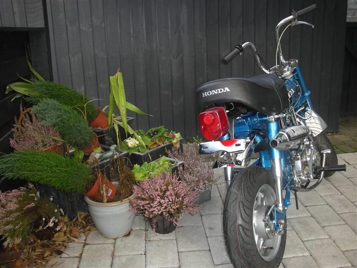 Honda DAX ST 50 billede 6