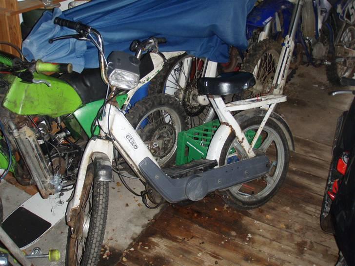 Vespa caio billede 1