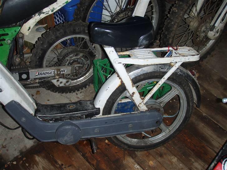 Vespa caio billede 2