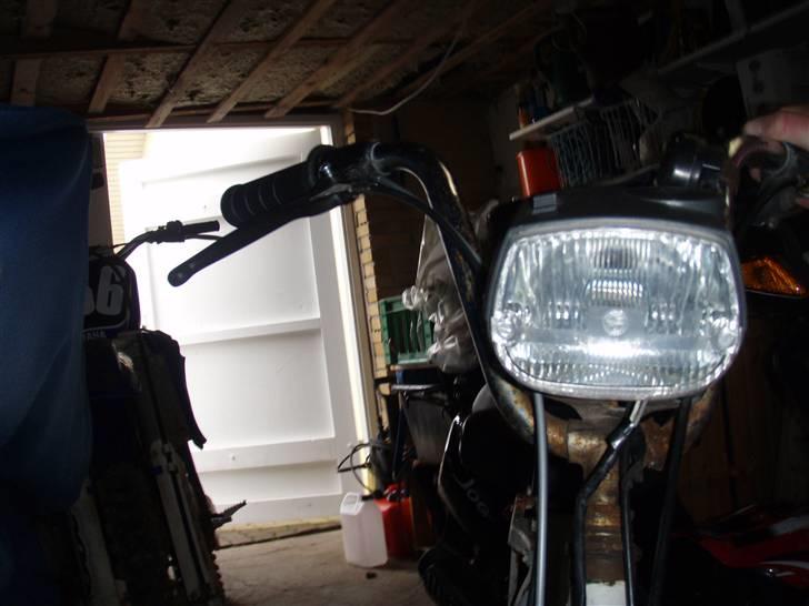 Vespa caio billede 4